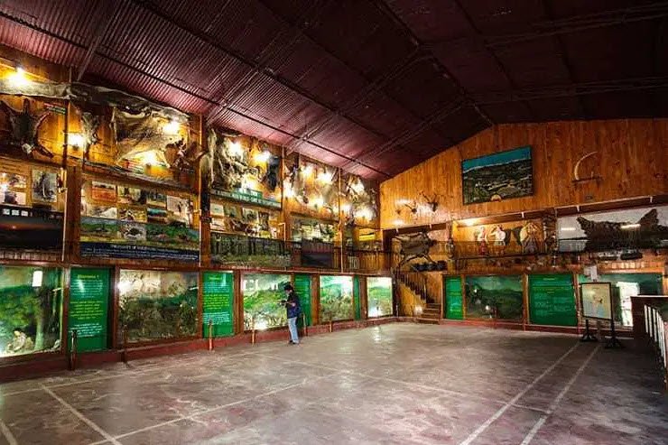 Forest Museum